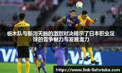 枥木队与新泻天鹅的激烈对决揭示了日本职业足球的竞争魅力与发展潜力