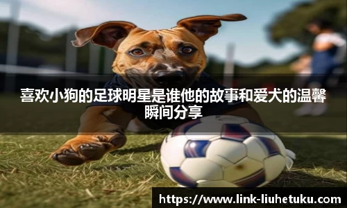 喜欢小狗的足球明星是谁他的故事和爱犬的温馨瞬间分享